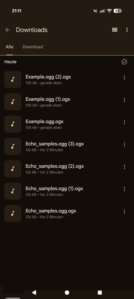 Screenshot of the downloaded .ogg file with incorrect extension